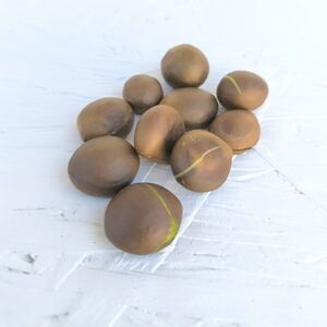 LOQUAT | Nispero Organic Seeds Japanese Eriobotrya Japonica Small Batch